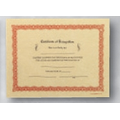 Stock Certificate of Recognition Athletic Award Certificate (White/Blue)